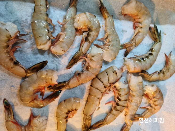  농라 오징어 꽃게 맛집 꼭지수산 서해안 자연산대하 파대하구입