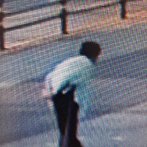 실종경보(석봉시)