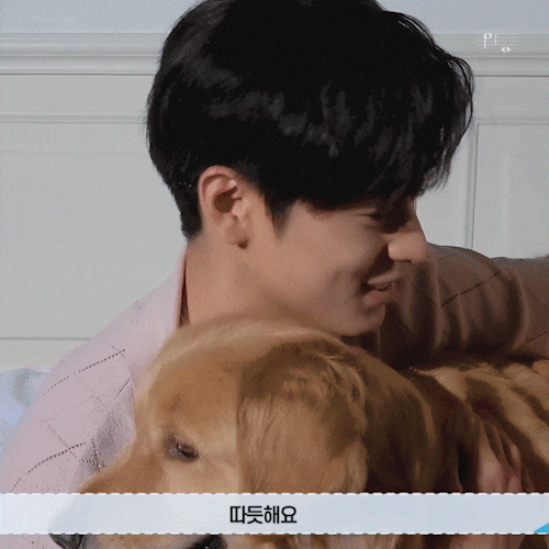 PIDOOM: 더보이즈 주연 GIF