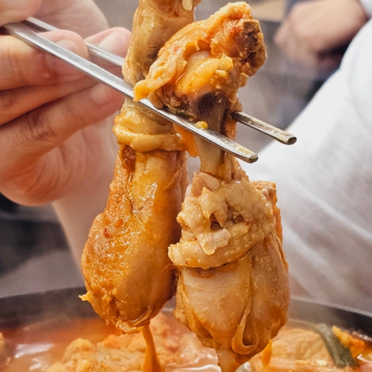  신촌 닭볶음탕 맛집 수요미식회 풍년 닭도리탕 신촌점