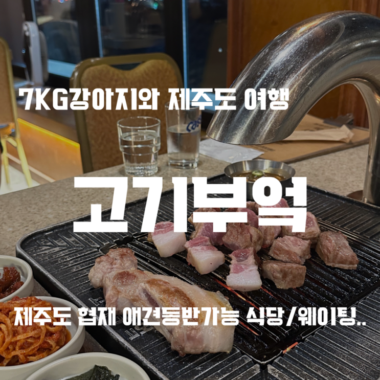  [7kg 강아지와 제주도 여행/동반가능 식당] 협재 고기부엌