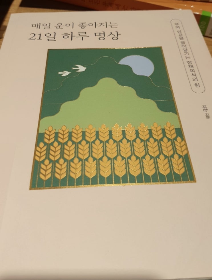  in 도서관: 매일 운이 좋아지는 21일 하루 명상