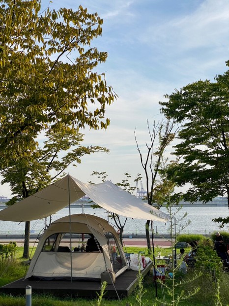  송도국제캠핑장 변경 배치도(2023년 10월1일 적용)데크번호, 사이즈 확인 필수!