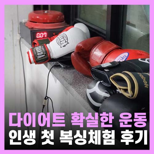  수유 복싱 체육관, 운동 효과 확실한 슈가복싱 수유점