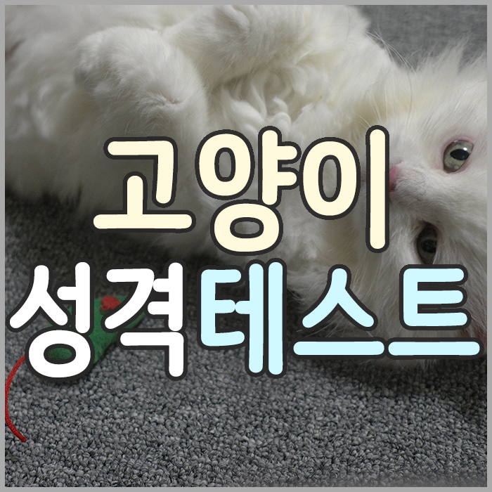  고양이 성격 테스트(케임브리지 연구팀의 고양이 성격 검사)