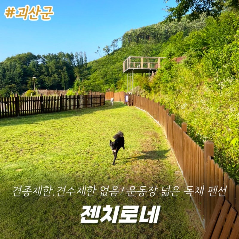 사진 3