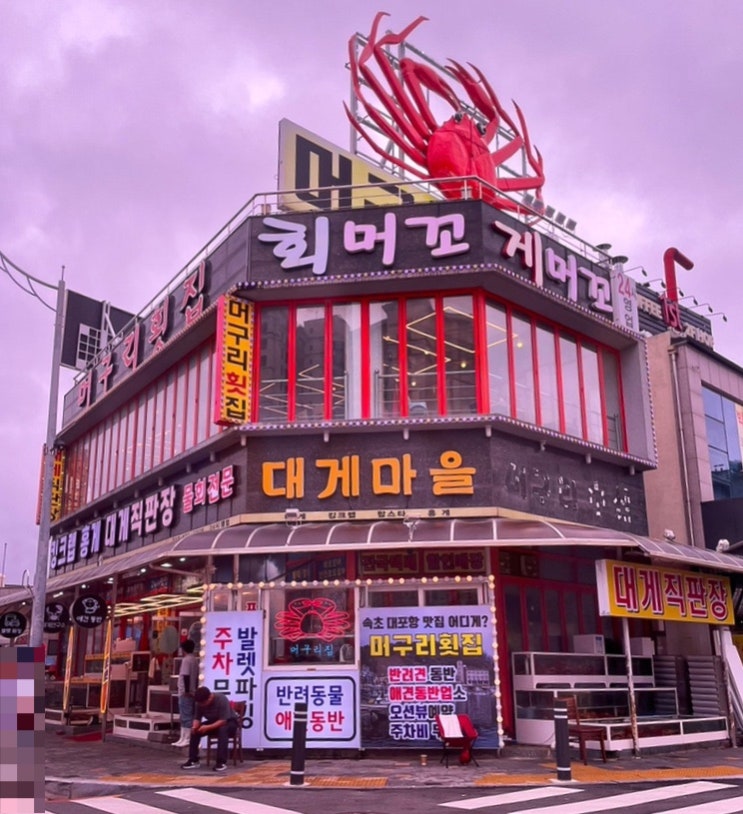 [속초 맛집] 머구리횟집 ㅣ 대포항 대게 추천 메뉴