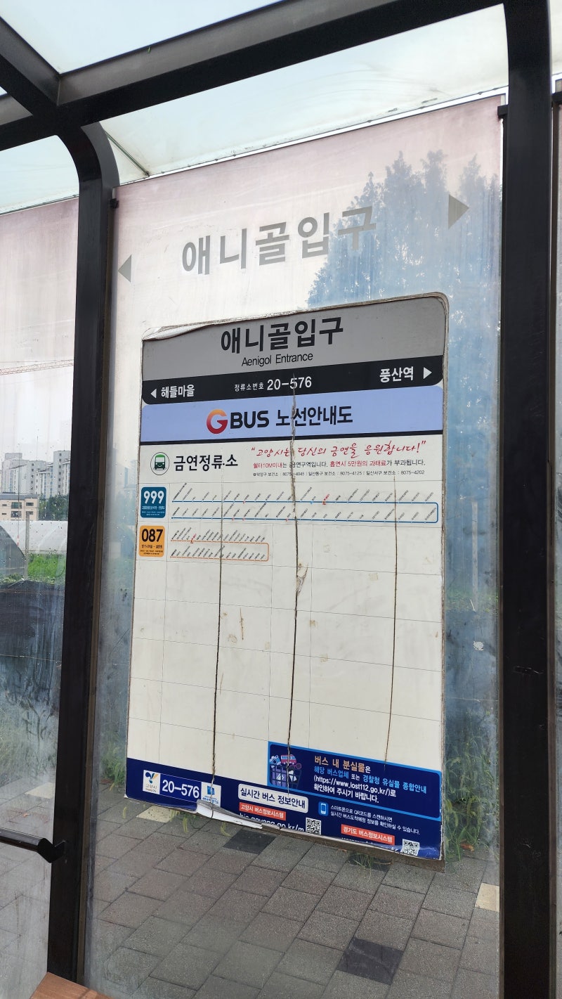 [자수]수영장 유목민의 일산 ymca 수영장 자유수영 후기/자유수영 시간 가격