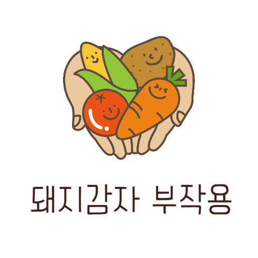  돼지감자차 부작용 : 당뇨환자 주의 하루한잔만!