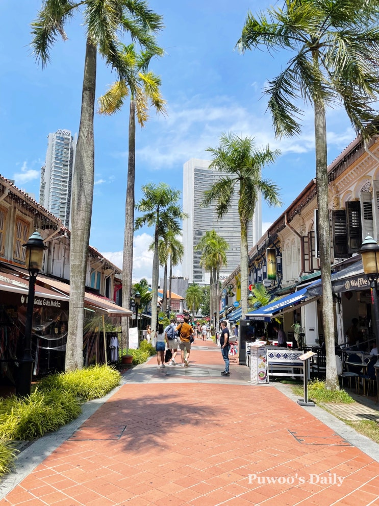 싱가포르 여행 가볼만한 곳 : 하지레인, 블랑코 코트 프라운미(새우국수), 아랍스트리트 / 맛집, 관광지