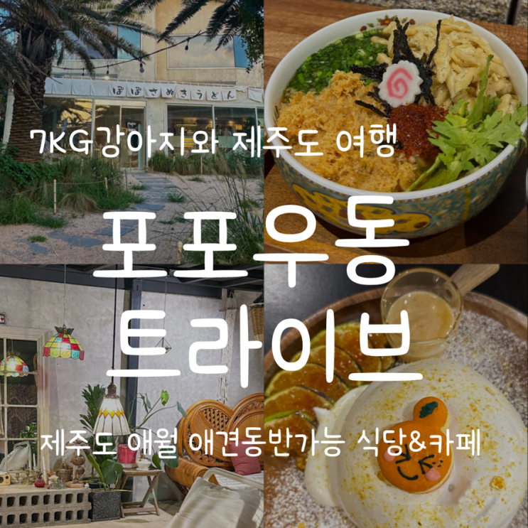  [7kg 강아지와 제주도 애월 여행/동반가능 식당&카페] 포포우동 & 트라이브