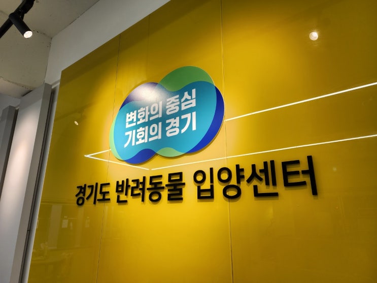  [반려견, 사지말고 입양하세요!] 경기도 반려동물 입양센터 & 강아지 소개