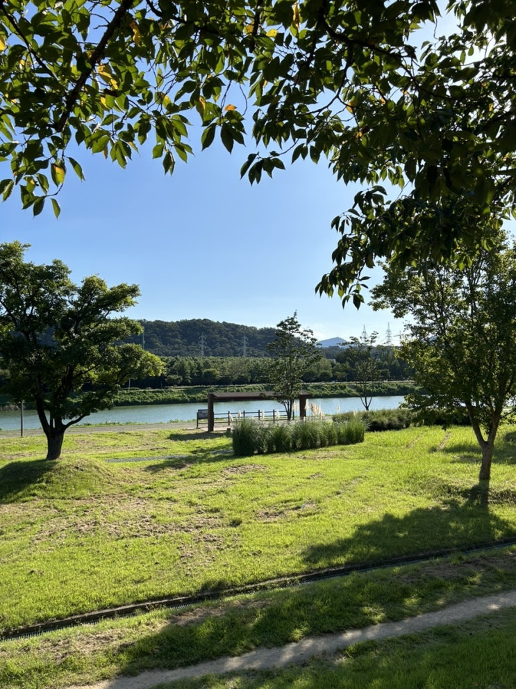  [울산가볼만한곳] 태화강 국가정원 산책_ 은하수길 들어가는 길/피크닉용품 대여