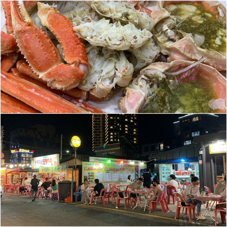  속초 동명항 맛집) 비치대게직판장, 속초포장마차거리(동명항포차촌)