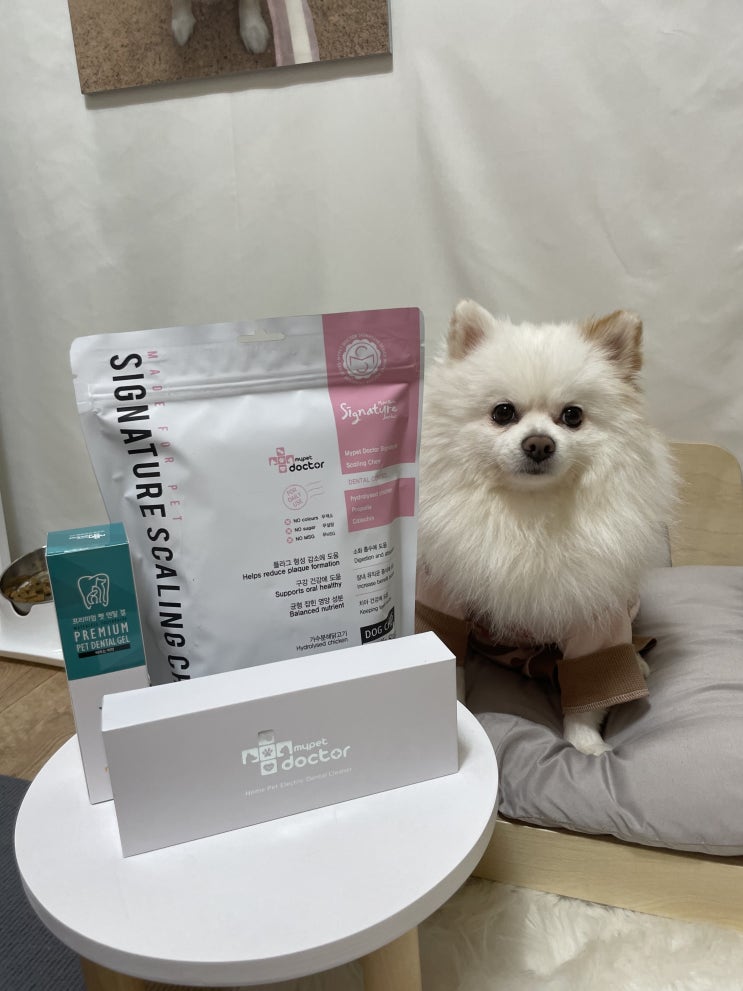  마이펫닥터 저소음 미세초음파 고양이 강아지 치석제거기