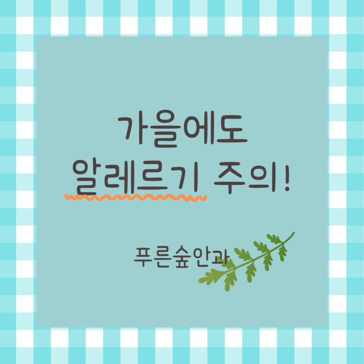  가을 알레르기 결막염 증상 및 치료