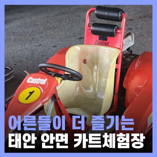  태안 안면도 가볼만한곳, 안면 카트체험장