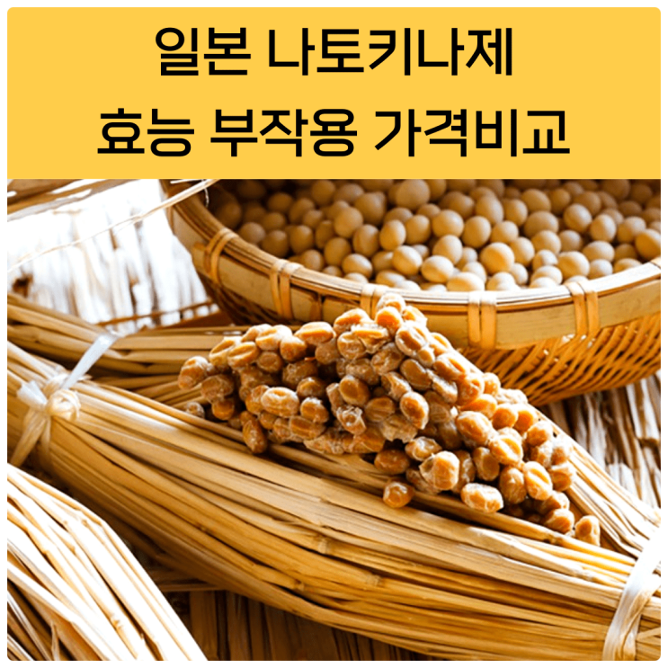  일본 나토키나제 효능 부작용 가격비교 총정리