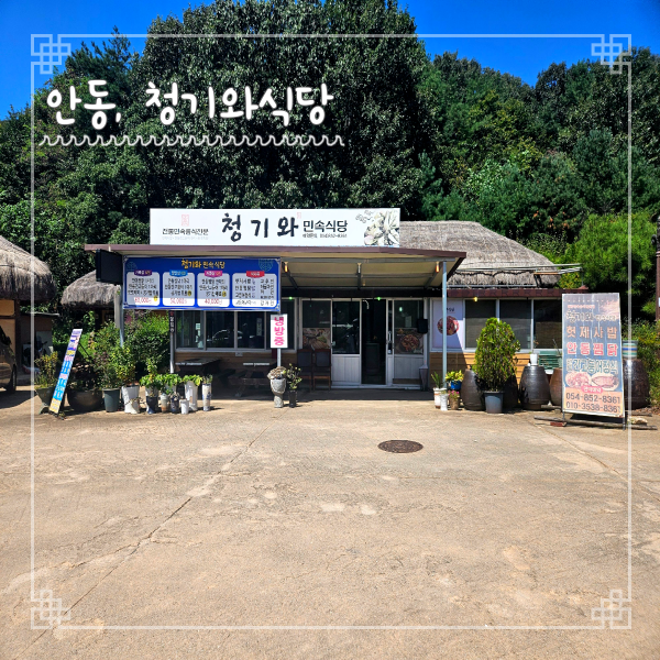  안동 하회마을 맛집 청기와민속식당 찜닭 간고등어 내돈내산