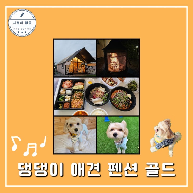  가평 댕댕이 애견 펜션 골드ㅣ비숑2 넓은 개별운동장 강아지 불멍즐기기