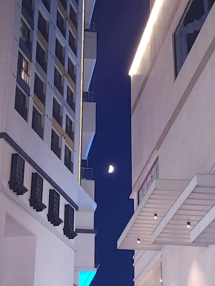  직장인에게 가을이 주는 다짐
