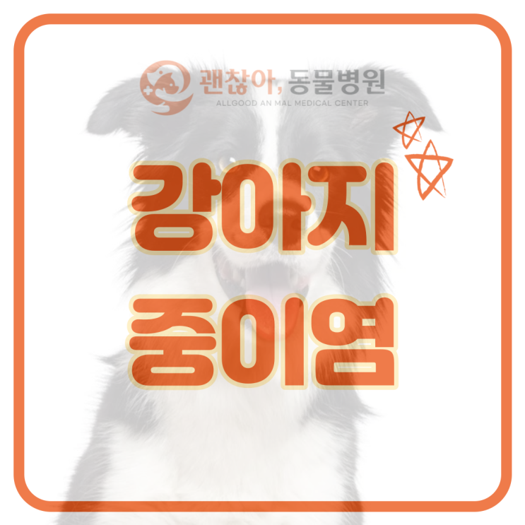  강아지 중이염 원인과 증상에 대해 알아봐요! [평택 고덕 괜찮아 동물병원]