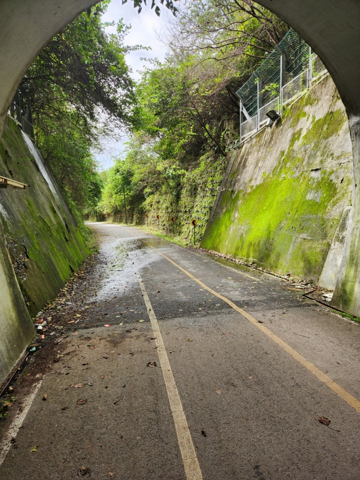  [경기둘레길 21코스] 경춘선 옛길 따라 가평역~상천역 8.6km 걷기(벚꽃길)