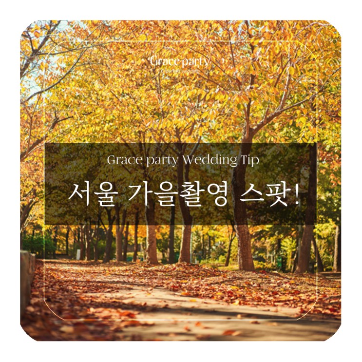 서울, 가을 포토스팟 추천 (<b>가을풍경사진</b>, 셀프촬영)