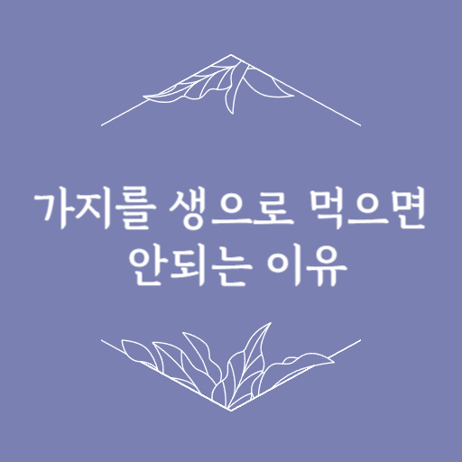  가지의 효능, 부작용 생으로 먹으면 안되는 이유