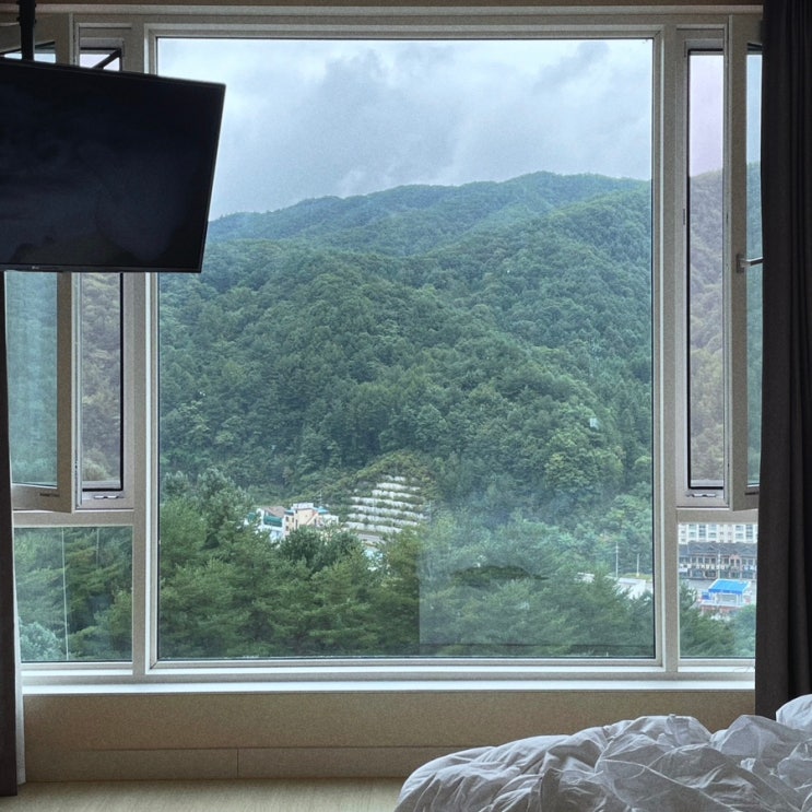  [평창] 더화이트호텔 스탠다드 더블 후기 | 강원도 평창 여행 숙소 추천