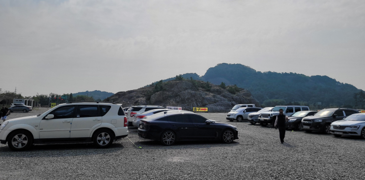 서천 장항 맥문동축제 다녀온 후기 (23.08.25~08.29) 서천 장항 맥문동축제 다녀온 후기 (23.08.25~08.29)