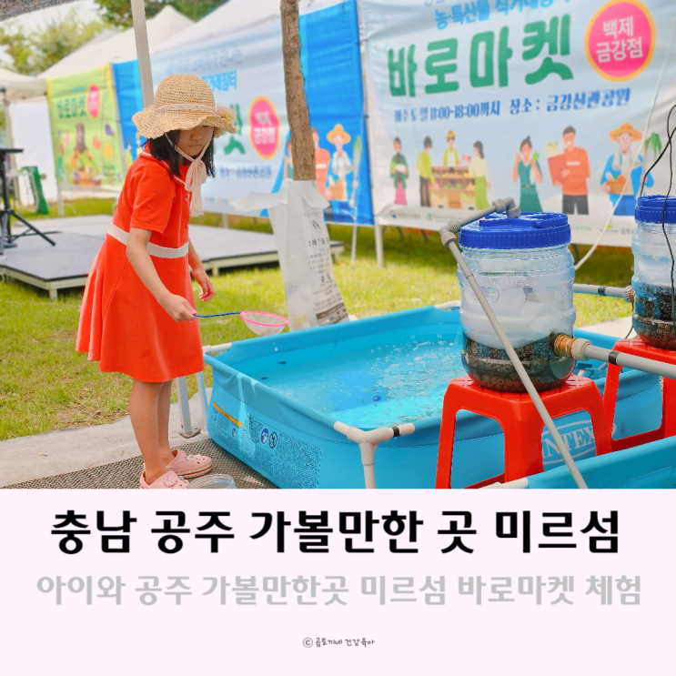 아이와 공주 가볼만한 곳 미르섬 바로마켓 체험 아이와 공주 가볼만한 곳 미르섬 바로마켓 체험