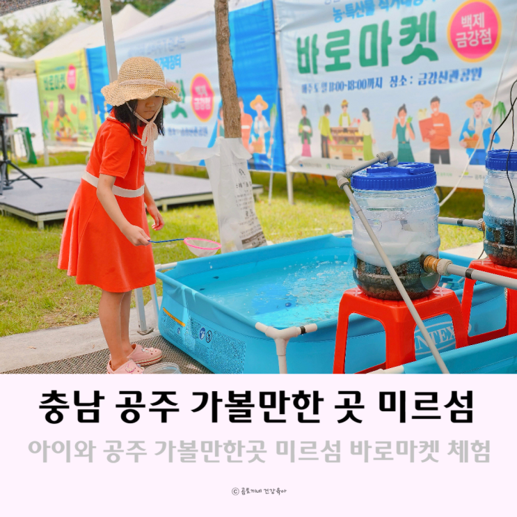 아이와 공주 가볼만한 곳 미르섬 바로마켓 체험