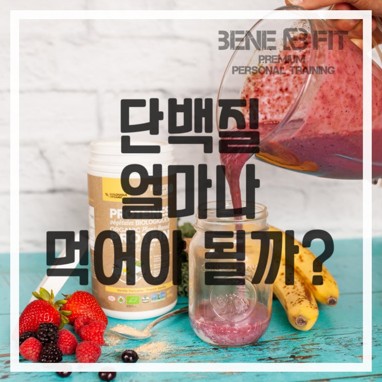 헬스 단백질 섭취량 계산 얼마나 먹어야 되나요?
