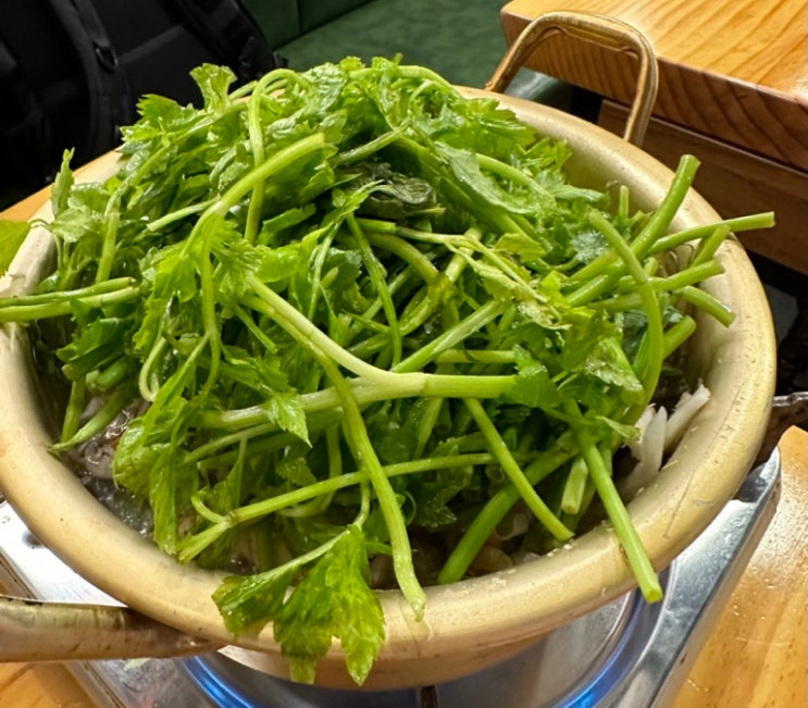  미나리 듬뿍 버섯매운탕 맛집 | 신사동인동 선릉역점
