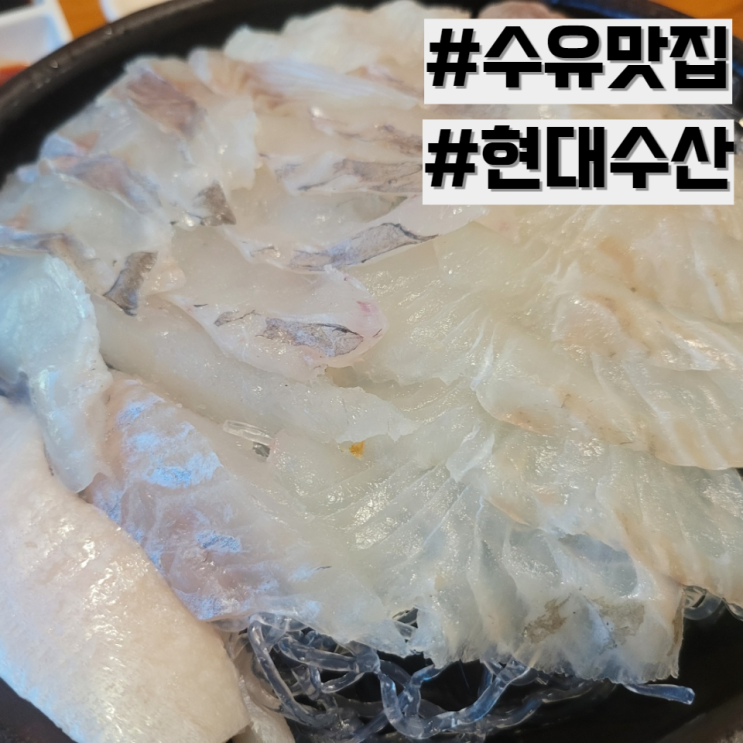 [수유 맛집] 쫄깃한 회 맛집 추천 '현대수산'