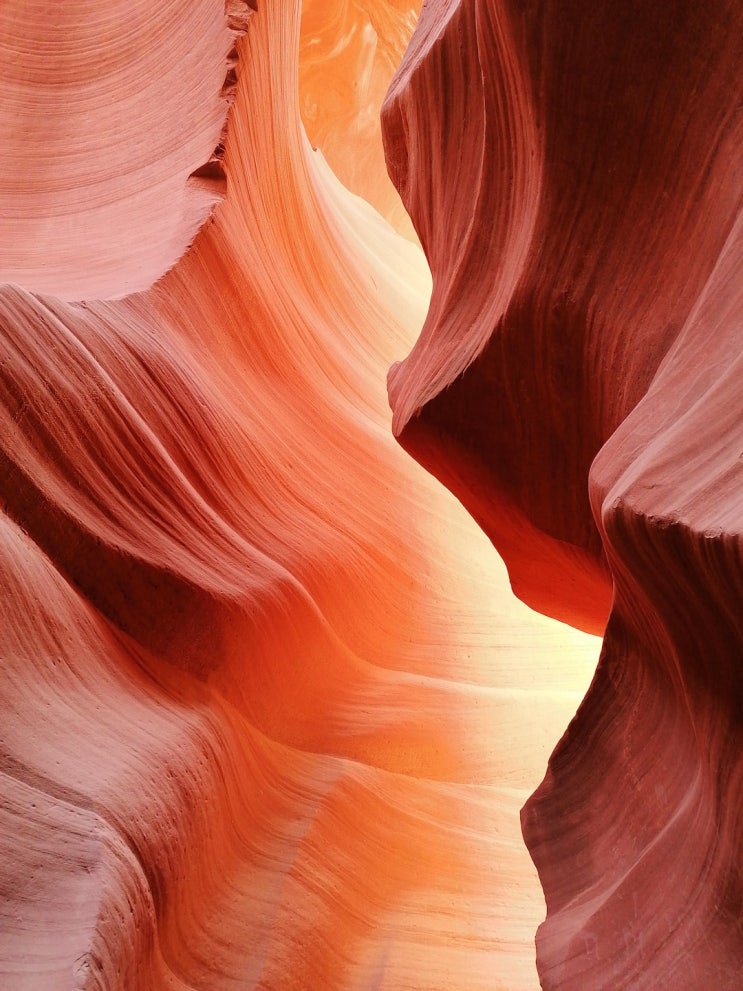  자연의 미술품, 미국의 앤터로프 캐년(Antelope Canyon) 여행: 빛과 그림자의 아름다움을 만나다