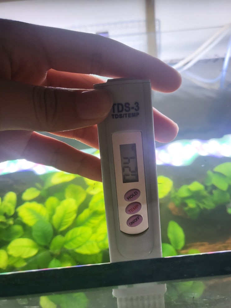  비쉬림프 수조 셋팅(tds-gh,kh, ph)