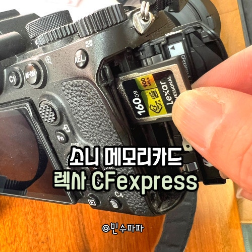 소니메모리카드 추천 렉사 CFexpress