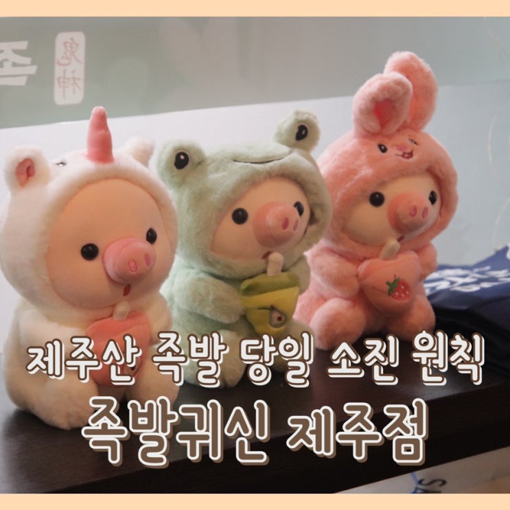  [맛집] 족발귀신 제주점 : 제주도맛집 / 공항근처맛집 / 노형동맛집 / 매일 삶은 제주산 족발 / 당일 소진 원칙
