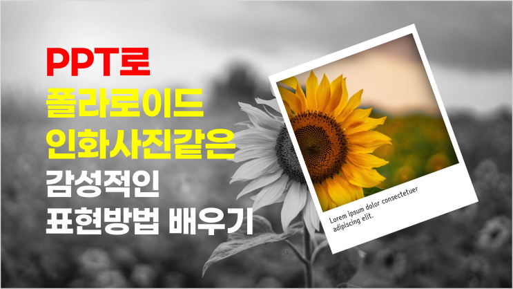  [PPT 강의] PPT로 폴라로이드 인화 사진 같은 감성적인 표현 방법 두가지 배우기