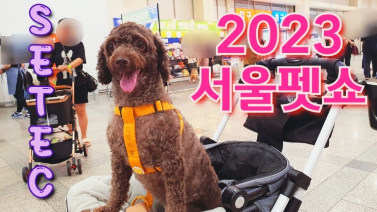  2023 펫박람회 서울펫쇼 SETEC 세텍후기 애견동반가능