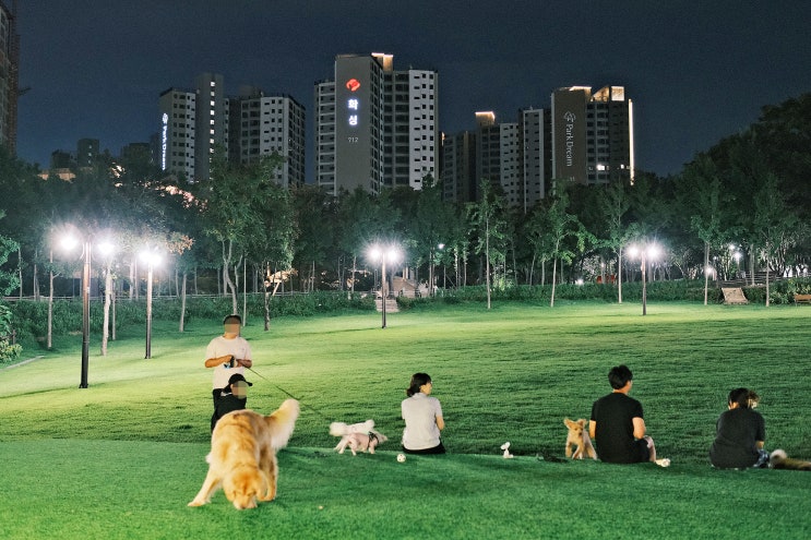 대구 이현공원 자연친화적인공원 잔디광장 대구야경 대구 이현공원 자연친화적인공원 잔디광장 대구야경