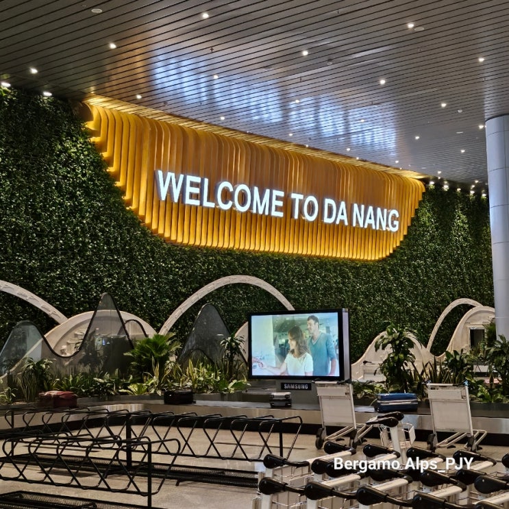 다낭 공항 입국 정보 환전 픽업 후기