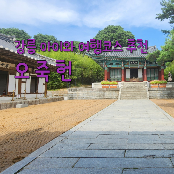  강릉여행 코스 오죽헌 아이와 가볼만한곳