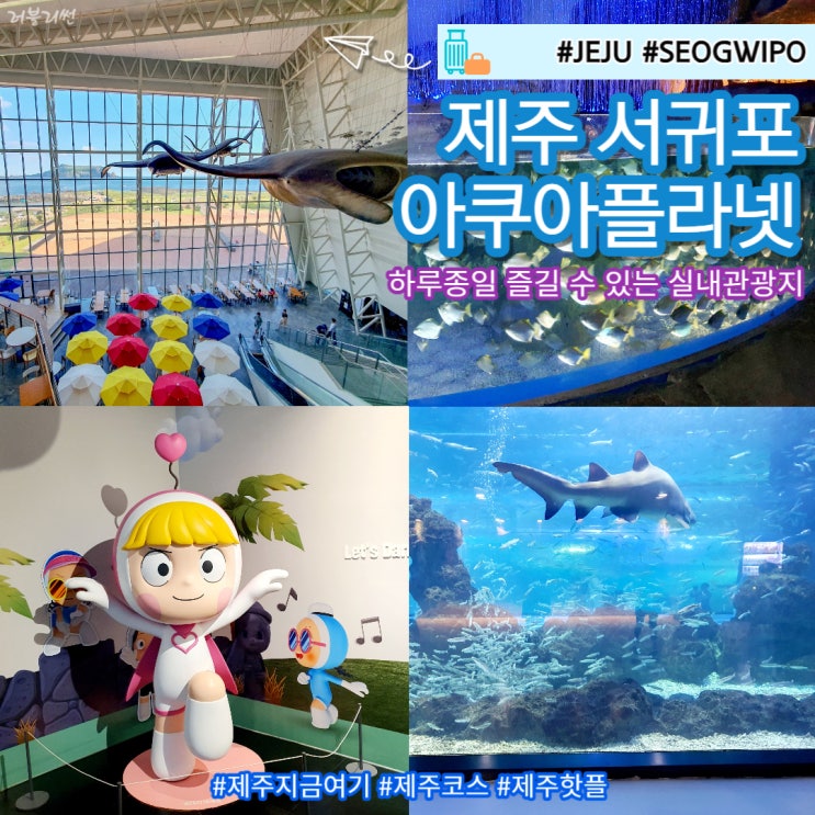  제주도 관광코스 아이와 가볼만한 곳 아쿠아플라넷