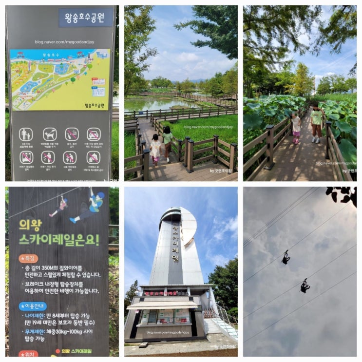 (의왕 아이와) 스카이레일 왕송호수 공원 레솔레파크 짚와이어 집라인 체험 의왕 가볼만한 곳 (의왕 아이와) 스카이레일 왕송호수 공원 레솔레파크 짚와이어 집라인 체험 의왕 가볼만한 곳