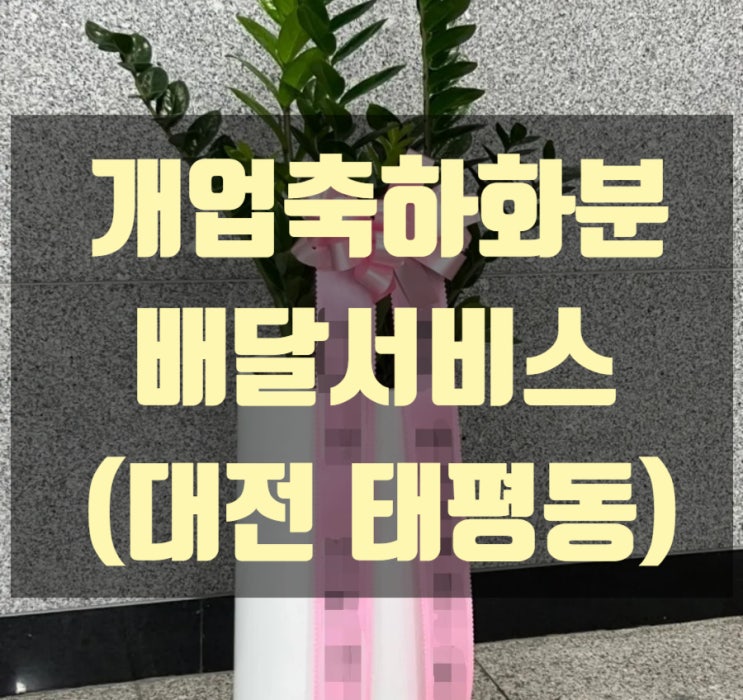  대전 개업축하화분 배달했습니다.(태평동)