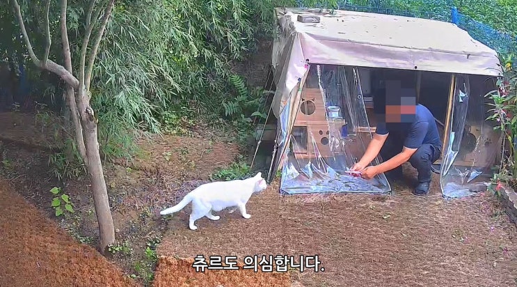 태풍 카눈 북상 소식에 쉼터가 걱정이 되었다 : 유기묘옥수