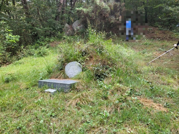  2023년 경북 김천시 감문면 덕남리 산소 2기 벌초 고인돌장의사 선산 구미 황간 영동 성주 상주 문경 칠곡